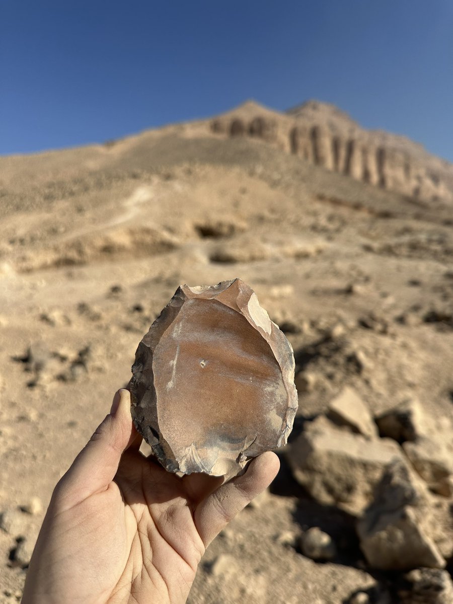 Beautiful bifaces and lovely Levallois in Egypt for #fieldworkfriday and #flintfriday