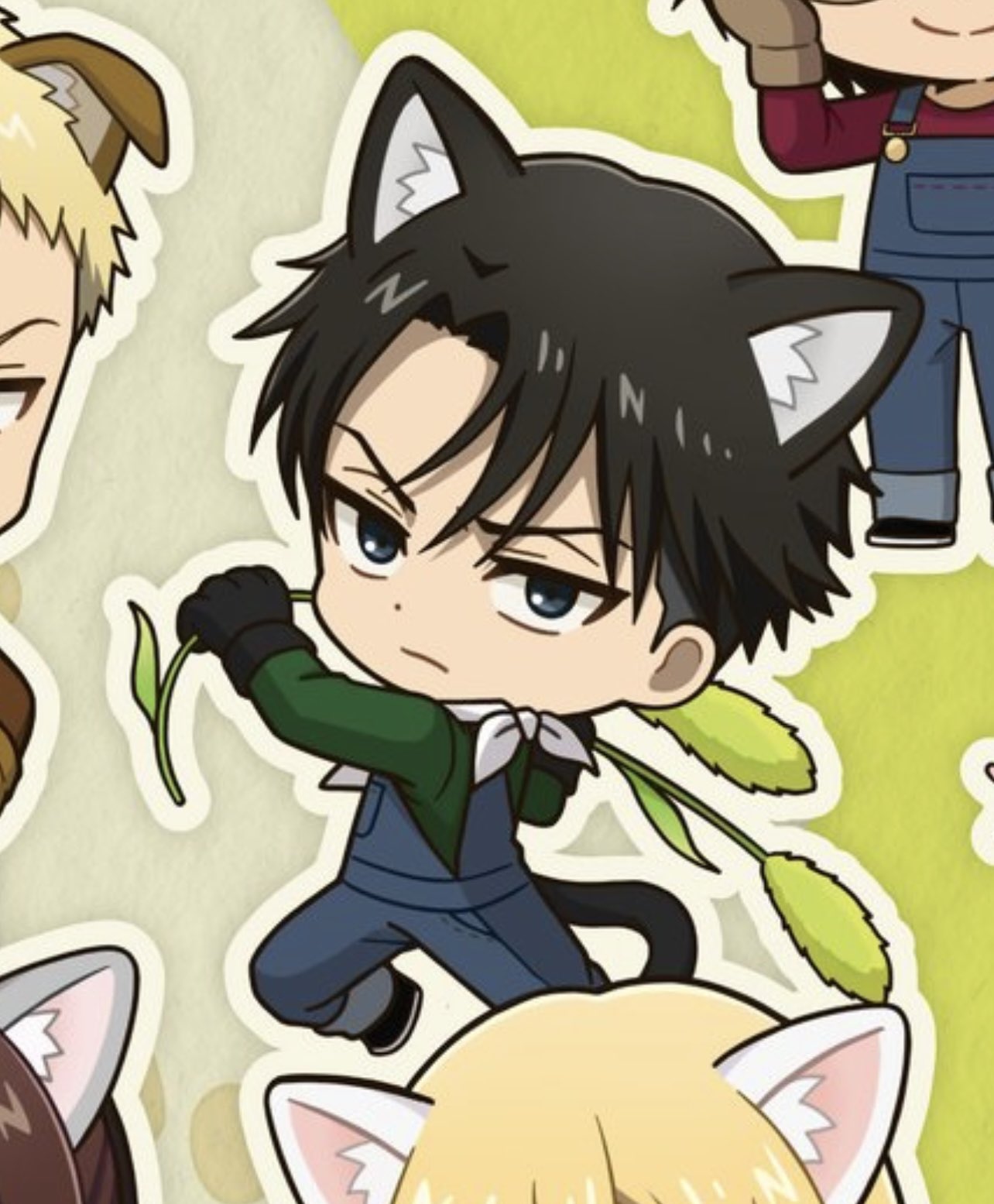 levi content on X kitty levi ackerman new official illustration little meow meow real https t O8Ixlef7YE X