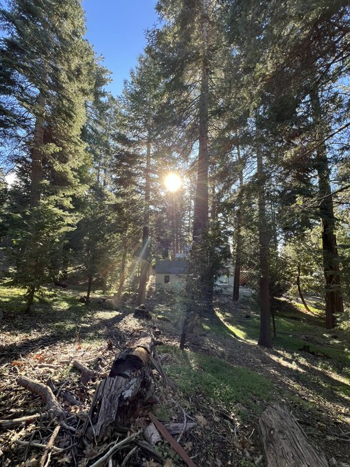 Had the most beautiful day today in the woods ✨🌲 https://t.co/XPtT7rdSCU<a href="/tag/mvsales"class="tags"><span>#mvsales</span></a>