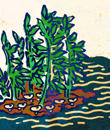 「bamboo nature」 illustration images(Latest)