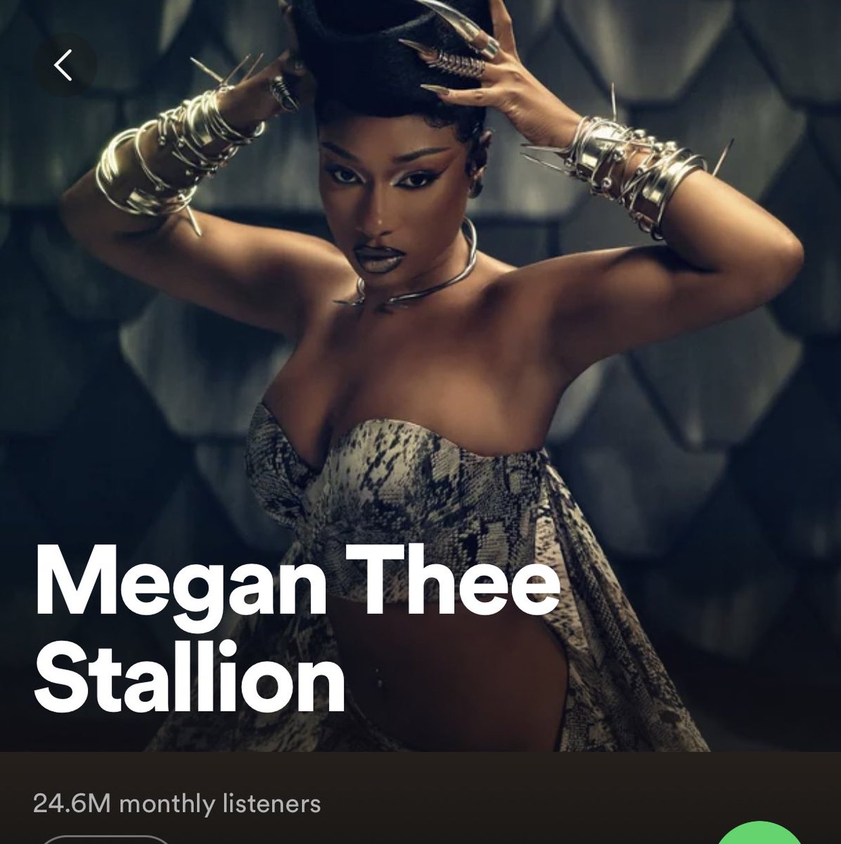 durkio_otf22's tweet photo. Megan Thee Stallion can’t make a decent song to save her life 😂

No wonder Tory Lanez is still destroying her numbers even though he can’t release music

Imagine receiving every possible stimulus package in the industry and you still can’t outshine him. Real talent never loses… https://t.co/DQQsrvCPox