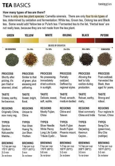Paxtree's tweet image. Tea Basics

#tea #teafacts #teawars #teawords #cupoftea #potoftea #teawars #salt
#sugar #lemon
#teatottlers #green tea #tealeaves #Goodmorningtea
#GoodMorningTwitterWorld
#GoodMorningX
#GoodnightEveryone 
#GoodNightX
