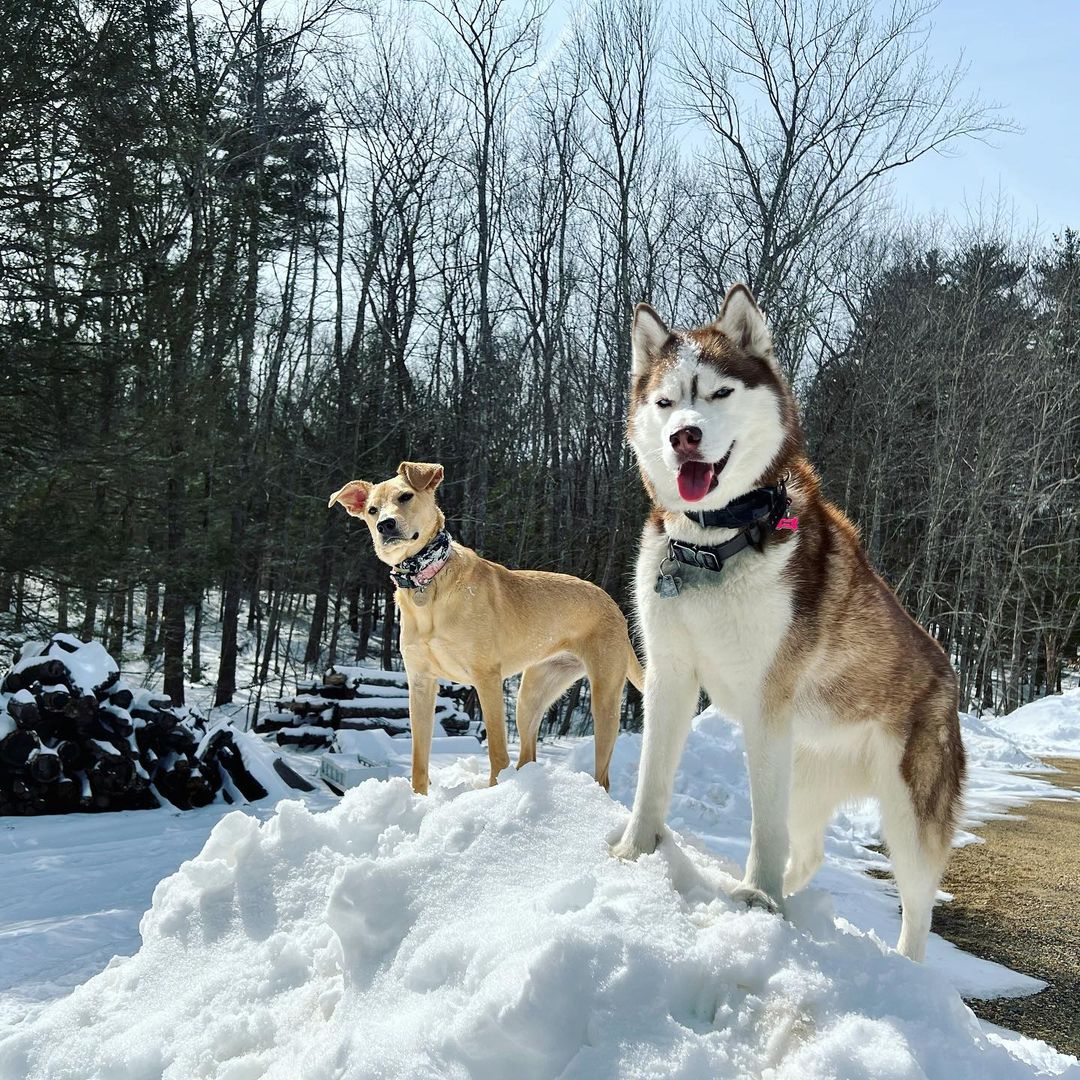 Friday snow time
