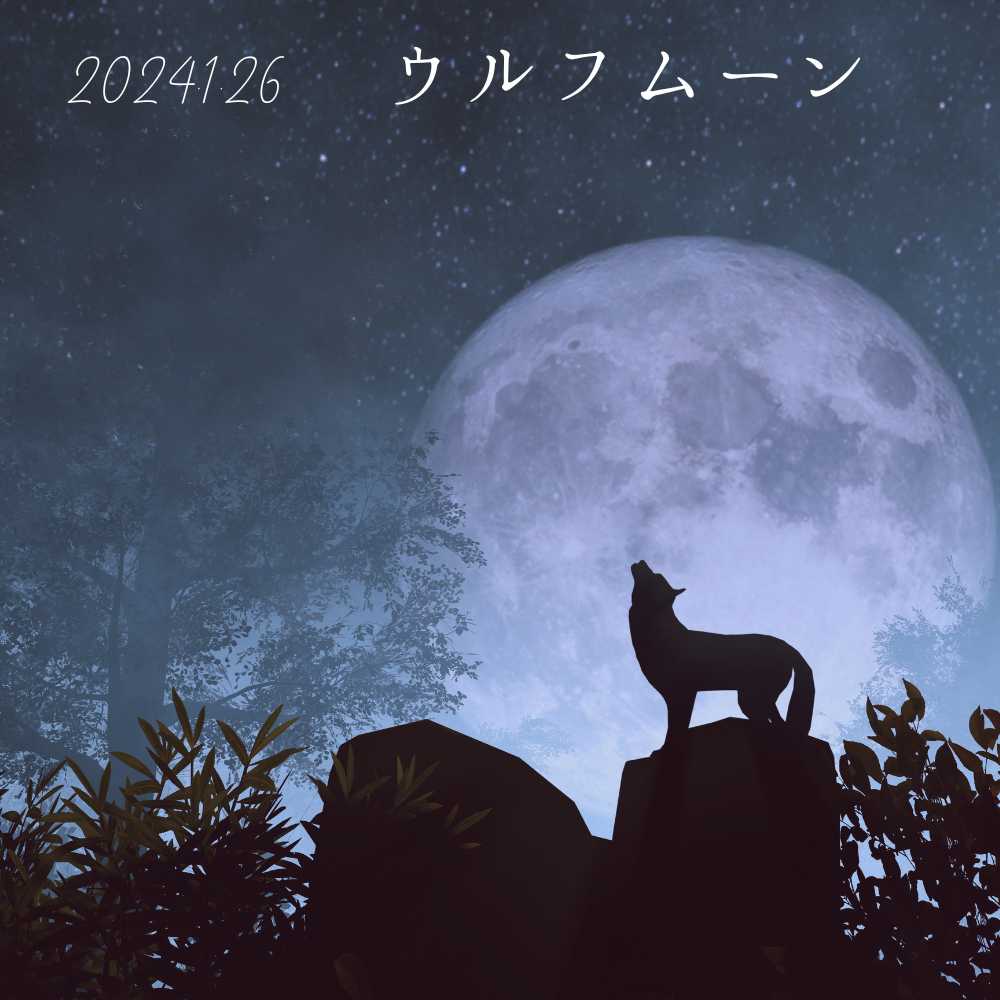 kami_llc's tweet photo. 今日は満月。静寂のなか狼の声が響き渡る頃の満月を「ウルフムーン」と呼ぶそうです。
満月は体調や気持ちの変化が起こりやすい日。いつにも増してご自愛のうえお過ごしください。そして素晴らしい週末をお迎えくださいませ😌 https://t.co/Y5ytj3WN5m