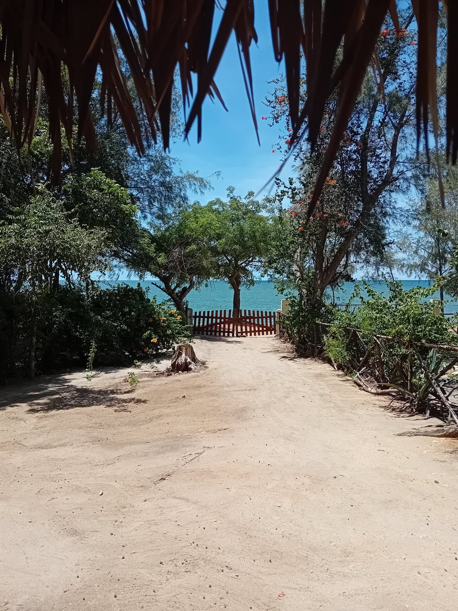 superruserr's tweet image. #Mahajanga in #Madagascar is one of those places that are still off-limits with tourist trash but still more can be done with infrastructure.

However - staying in a hut where you can hear the beach waves was amazing was priceless.