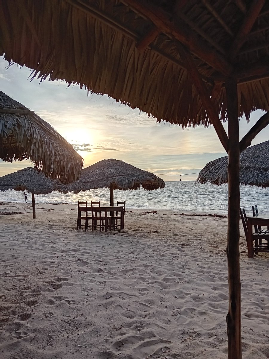 superruserr's tweet image. #Mahajanga in #Madagascar is one of those places that are still off-limits with tourist trash but still more can be done with infrastructure.

However - staying in a hut where you can hear the beach waves was amazing was priceless.