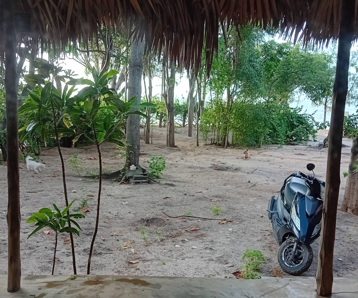 superruserr's tweet image. #Mahajanga in #Madagascar is one of those places that are still off-limits with tourist trash but still more can be done with infrastructure.

However - staying in a hut where you can hear the beach waves was amazing was priceless.