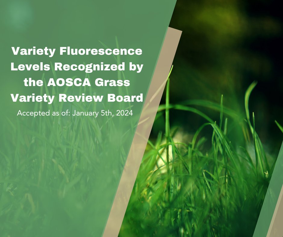 AOSA/SCST tweet media