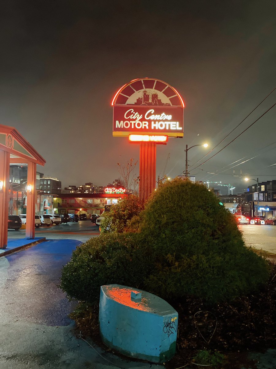 Tara Lee tweet media