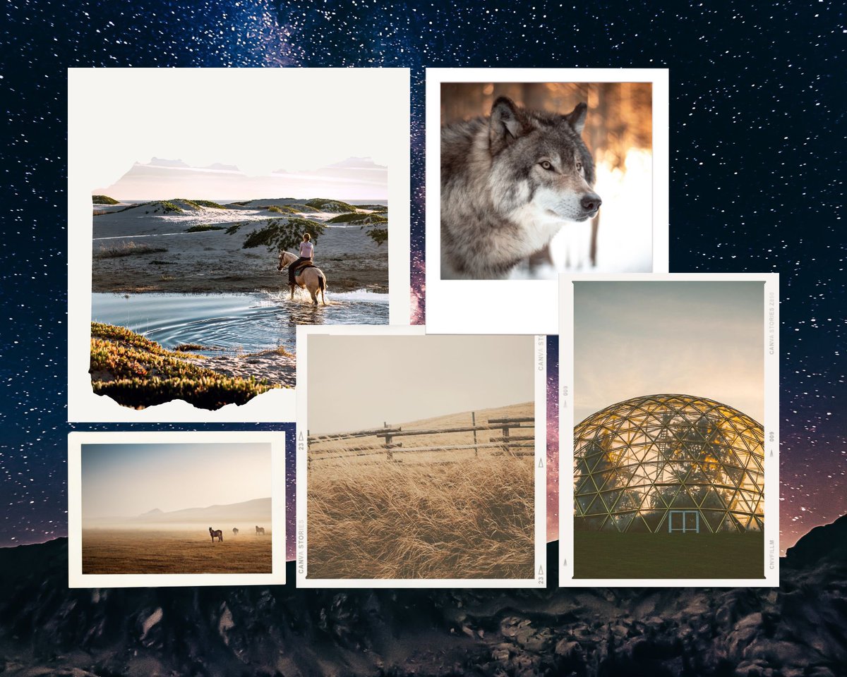 Ashley Russ - Protect 🏳️🌈🏳️⚧️ tweet media