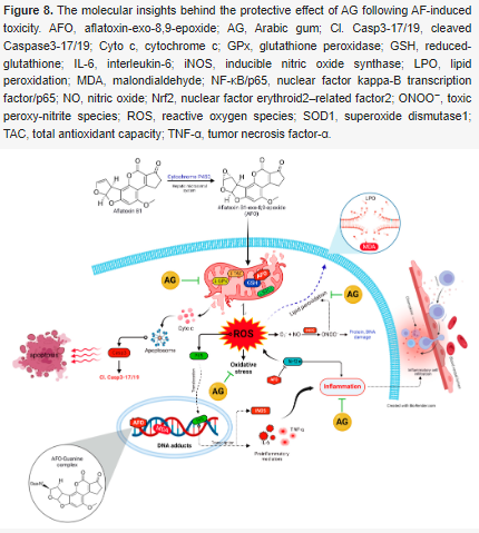 Toxins_MDPI's tweet photo. 📰Arabic Gum Could Alleviate the #Aflatoxin B1-provoked Hepatic Injury in Rat: The Involvement of Oxidative Stress, Inflammatory, and Apoptotic Pathways
🧐Read this feature paper at: https://t.co/Z8VALAiOdS https://t.co/jbzbhH0Spt