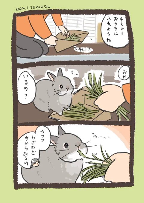いとしさ

#うさぎのいる生活 