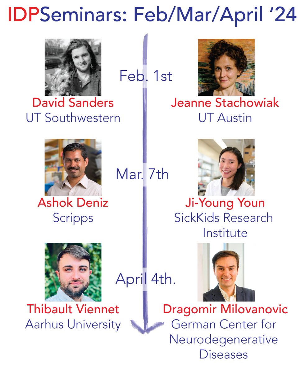 We kick off our 2024 program next Thursday: The usual time - the usual place. In the next three seminars we look forward to welcoming @DavidWSanders2, @StachowiakLab, Ashok Deniz (@scrippsresearch), Thibault Viennet (@Chemistry_AU) and Dragomir Milovanovic (@DZNE_en)