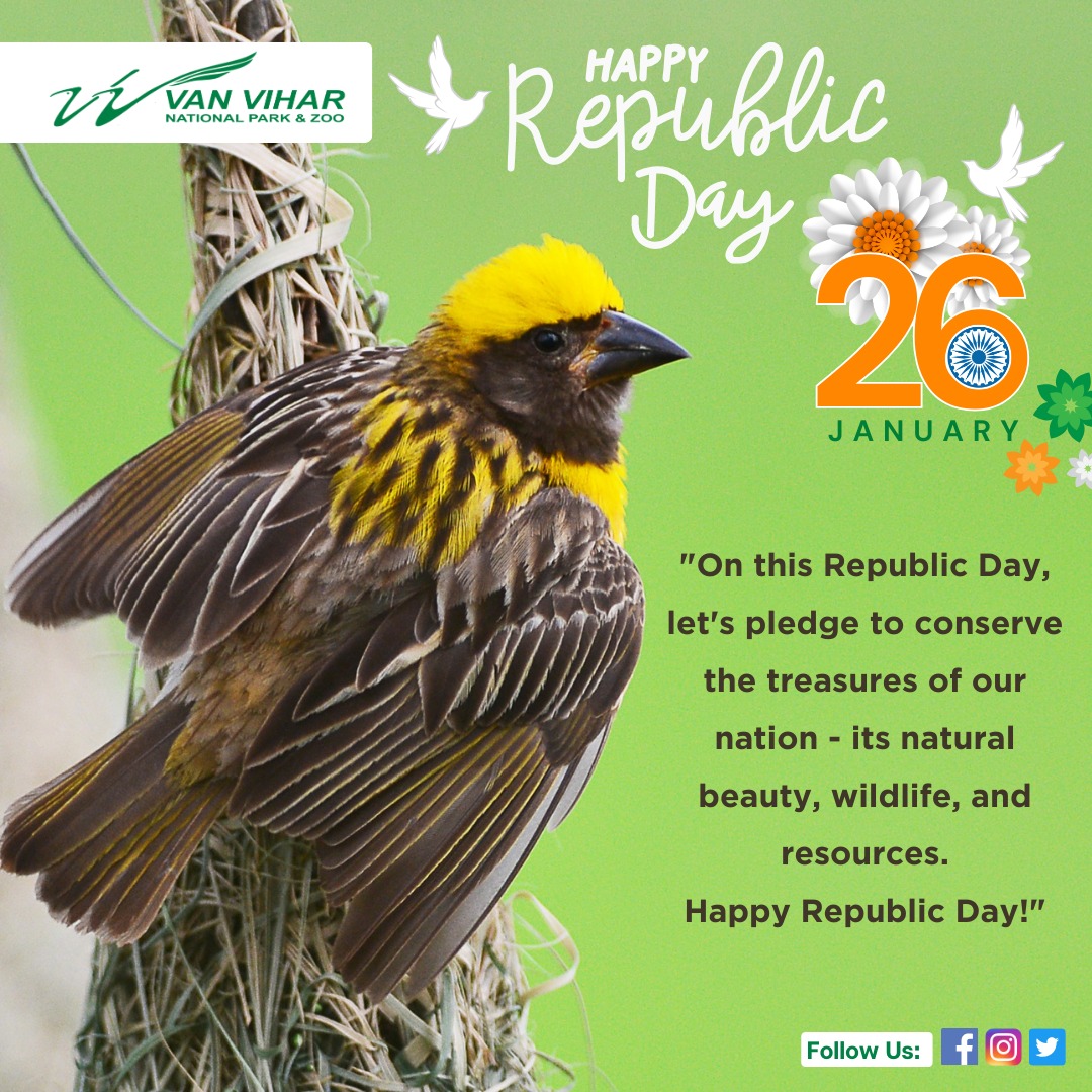 'Happy 75th Republic Day, India! 🇮🇳 Today, let's celebrate the spirit of freedom and wildlife conservation. Van Vihar stands proud, preserving our rich biodiversity. Let's pledge to protect and cherish our natural treasures. #RepublicDay #VanViharNationalPark #India75