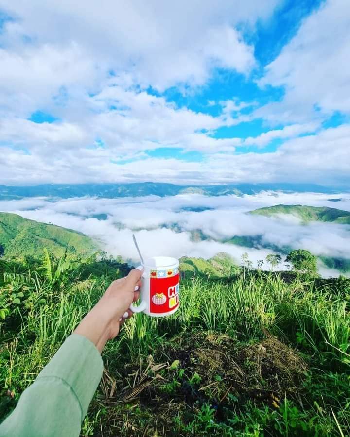 s65201444's tweet photo. Babalik balikan ka talaga sa ganda mo Mt karingag😍🌿 https://t.co/V3HCMs95RP