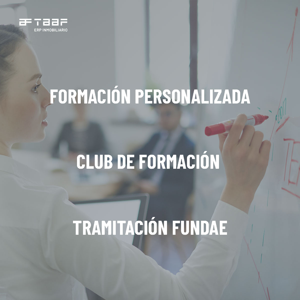 TAAF S.L. tweet media