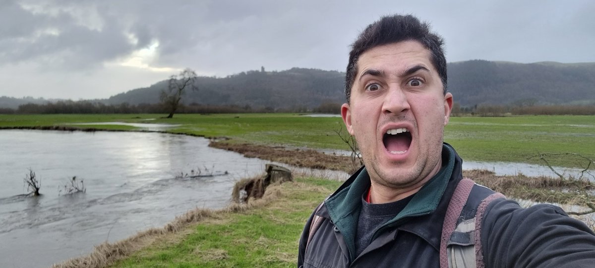 Josh Ahmed tweet media