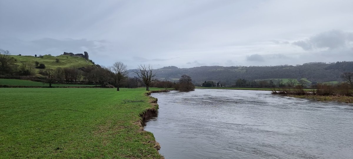 Josh Ahmed tweet media