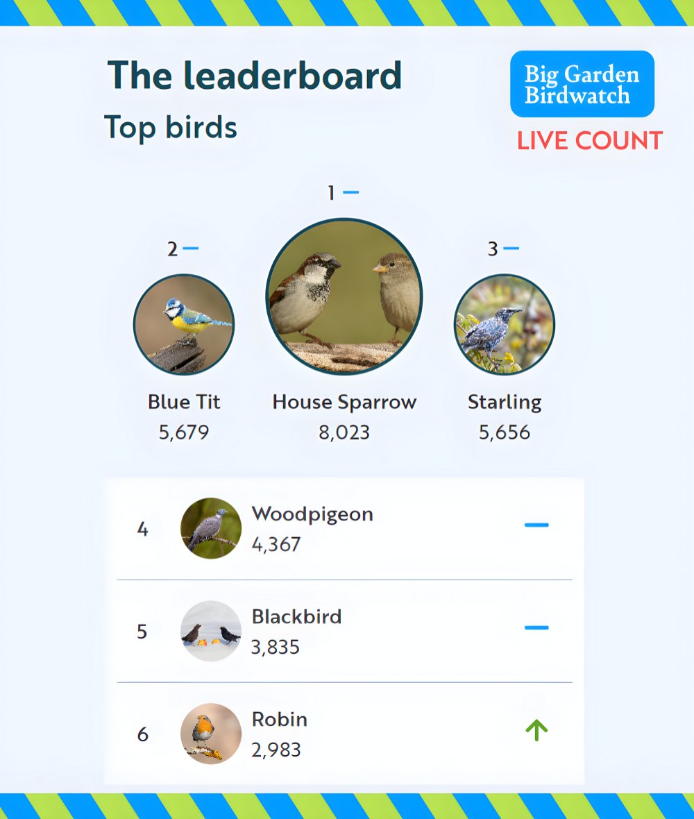 Natures_Voice's tweet image. LIVE from the #BigGardenBirdWatch: the small but mighty House Sparrows hold the lead but the Blue Tits aren’t far behind! 👀
57,520 birds spotted so far - who will top the charts today?
Keep your counts coming…