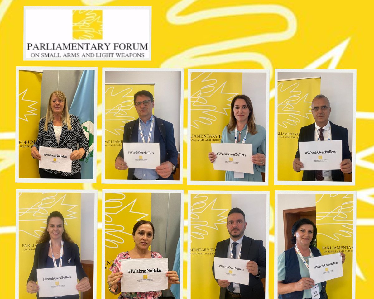 ParlForumSalw's tweet photo. The #ATT is key for preventing illicit #SALW-flows. Contributing to #Peace &amp; #SustainableDevelopment @ParlForumSalw works to strengthen global #MP action for enhanced ATT universalisation &amp; implementation. Learn more about what MPs can do https://t.co/I5OVSDacuQ #WordsOverBullets https://t.co/D7T7yUtFwV