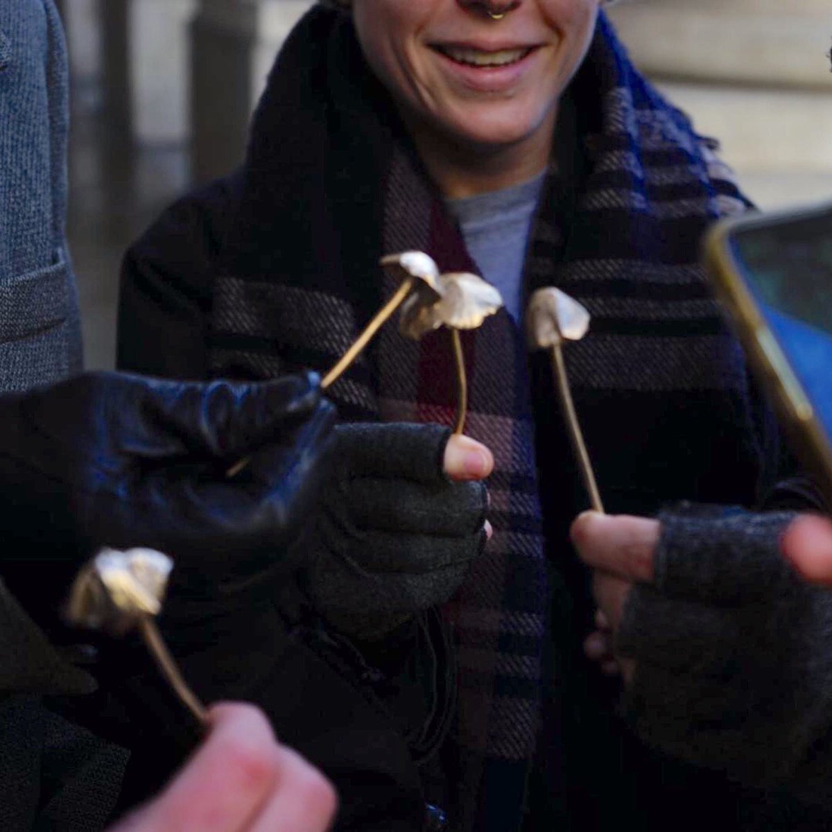 Fever Zine tweet media