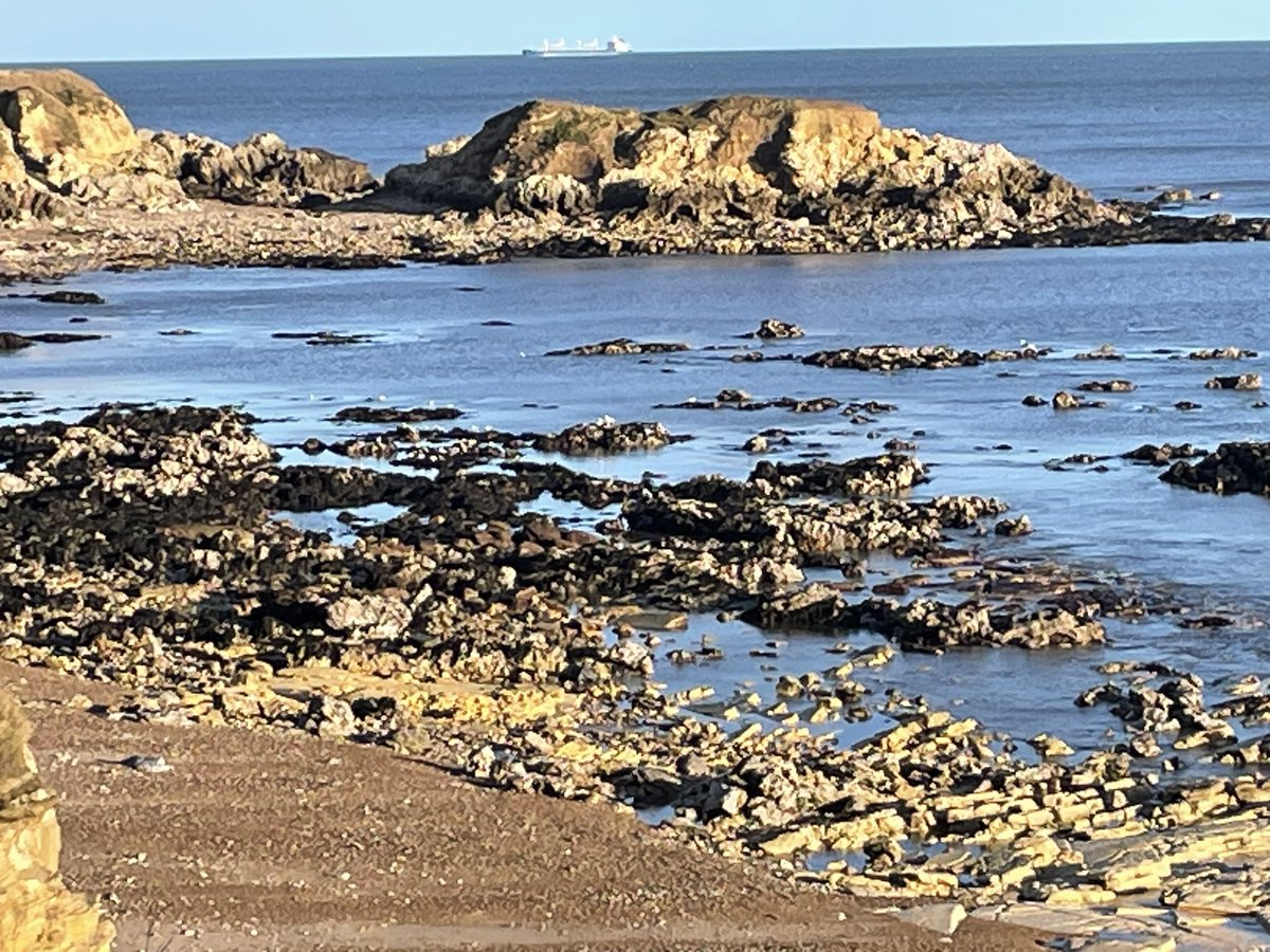 Dave_Dixon1's tweet photo. Beautiful day at #marsdenbay low tide got a small pick in and found another sea marble but spent most of the walk enjoying my magical #beach 
#lovewhereyoulive https://t.co/L2lBkMfRLV
