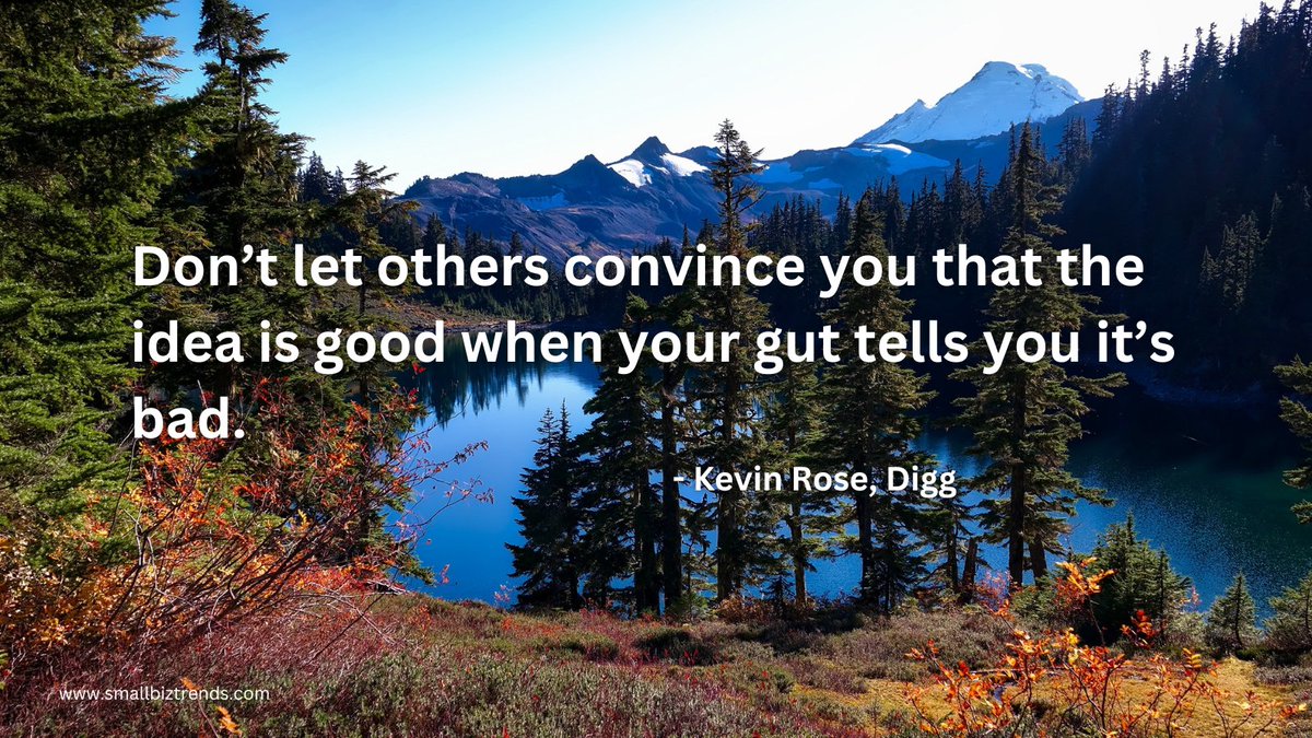 'Don’t let others convince you that the idea is good when your gut tells you it’s bad.' - Kevin Rose, Digg zurl.co/aW3K #FridayFeeling #FridayMotivation #SmallBizQuote