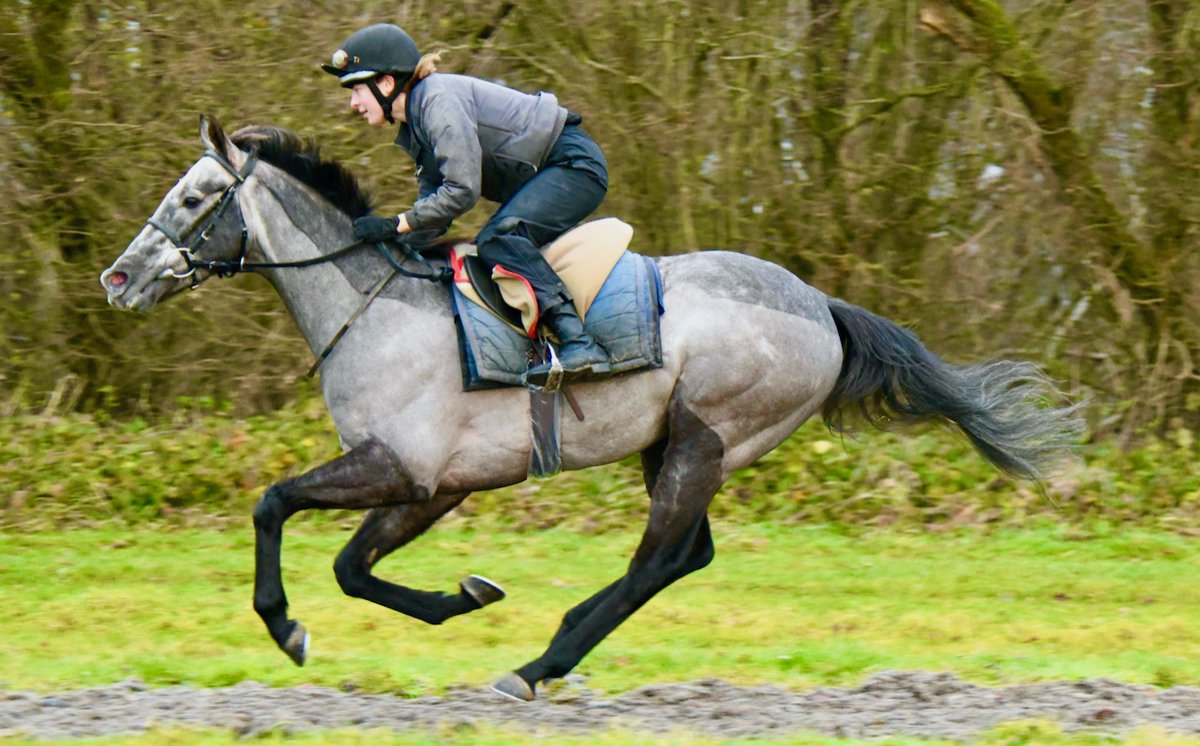 Hurtle (Mastercraftsman ex Ghurfah) goes to Wolverhampton for the Build Your Acca With BetUK Handicap (due off at 8.15 p.m.) this evening. He’s well and jockey Alec Voikhansky rides him in this 1 mile 4 furlong contest.