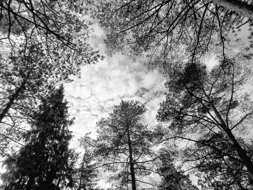 Buenos días!!!

Hoy es último día del #EuTREX2024

Cerramos estos días de #training #exchange🔥🫂 compartiendo las siguientes actividades:

✔️ After Action Review 🔁
✔️ Compartir conclusiones
✔️ Valorar el #TREX

Momentos de reflexión y puesta en común 

Esto se acaba! 🥺