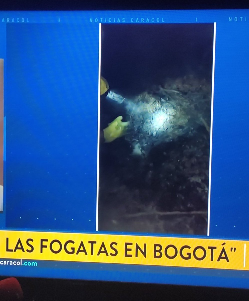 Que gonorrea!! Encontrar galones de gasolina y fogatas creadas por personas en los cerros orientales, esto es de enfermos mentales y delincuentes, y para mi es terrorismo real. Lo primero que me preguntó, ¿A quiénes le convienen estos actos? O quieren que dejen de cuidar la
