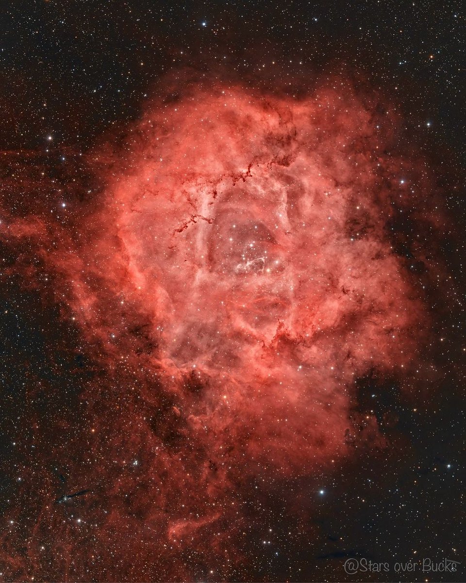 Cosmology0's tweet image. The Rosette Nebula and star cluster (NGC 2244) in the constellation of Monoceros. This is a star forming region that is 5000 light years away and measures 130 light years across.