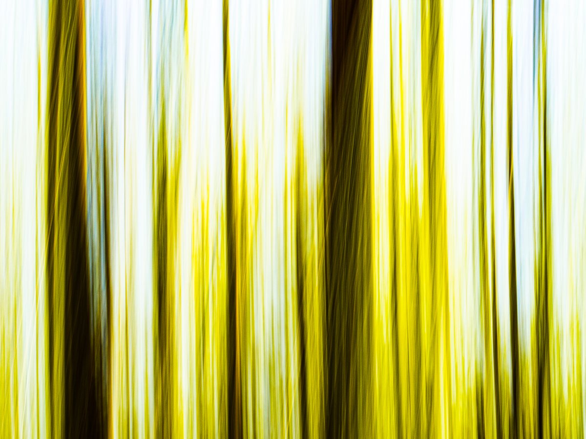 Bachblatt tweet media