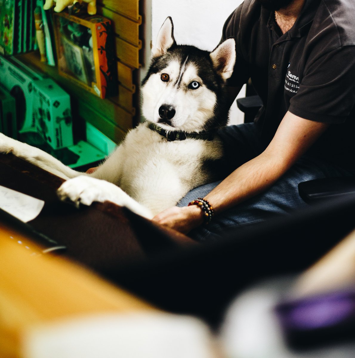 ABC Service tweet media