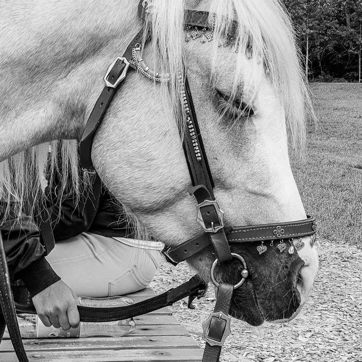 dicdocphoto's tweet photo. Лошадь устала
The horse is tired
Photo: Dmitriy Grebnev
Russia, Tyumen, 2020
#dicdoc #dicdocphoto #Tyumen #блескинищета
#Экзистенциальныесостояния
#эстетикаебеней #imp #Window #oldWindow #urbanphotography #streetphoto #photography https://t.co/Uhp68iGzqB