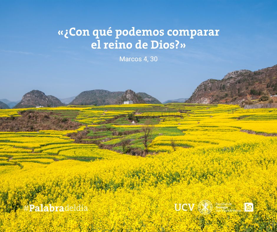 «¿𝐂𝐨𝐧 𝐪𝐮𝐞́ 𝐩𝐨𝐝𝐞𝐦𝐨𝐬 𝐜𝐨𝐦𝐩𝐚𝐫𝐚𝐫 𝐞𝐥 𝐫𝐞𝐢𝐧𝐨 𝐝𝐞 𝐃𝐢𝐨𝐬?» (Marcos 4,30)
El grano de mostaza nos habla de la fuerza que se esconde en una pequeña semilla, que se convierte en un gran árbol. Así son las realidades de la fe.
#Evangelio▶️bit.ly/PalabraDelDia1