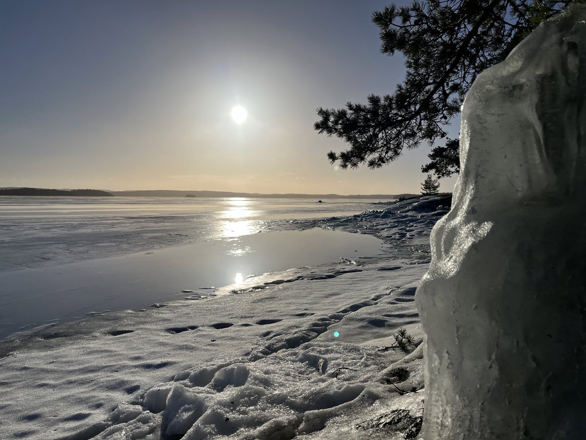 tonyrjonsson's tweet photo. Buongiorno amici ☀️❄️🎶
Venerdì, fine settimana in arriva 😃
Speriamo per qualche raggi di sole e un abbraccio o due 🫶
Buon venerdì tutti 🤗
#gen26 🕊️❤️🕊️❤️🕊️ https://t.co/45mdWh0I8x