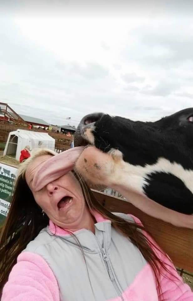 SarahjevsEvans's tweet image. Go to the petting zoo they said 
It’ll be fine they said
