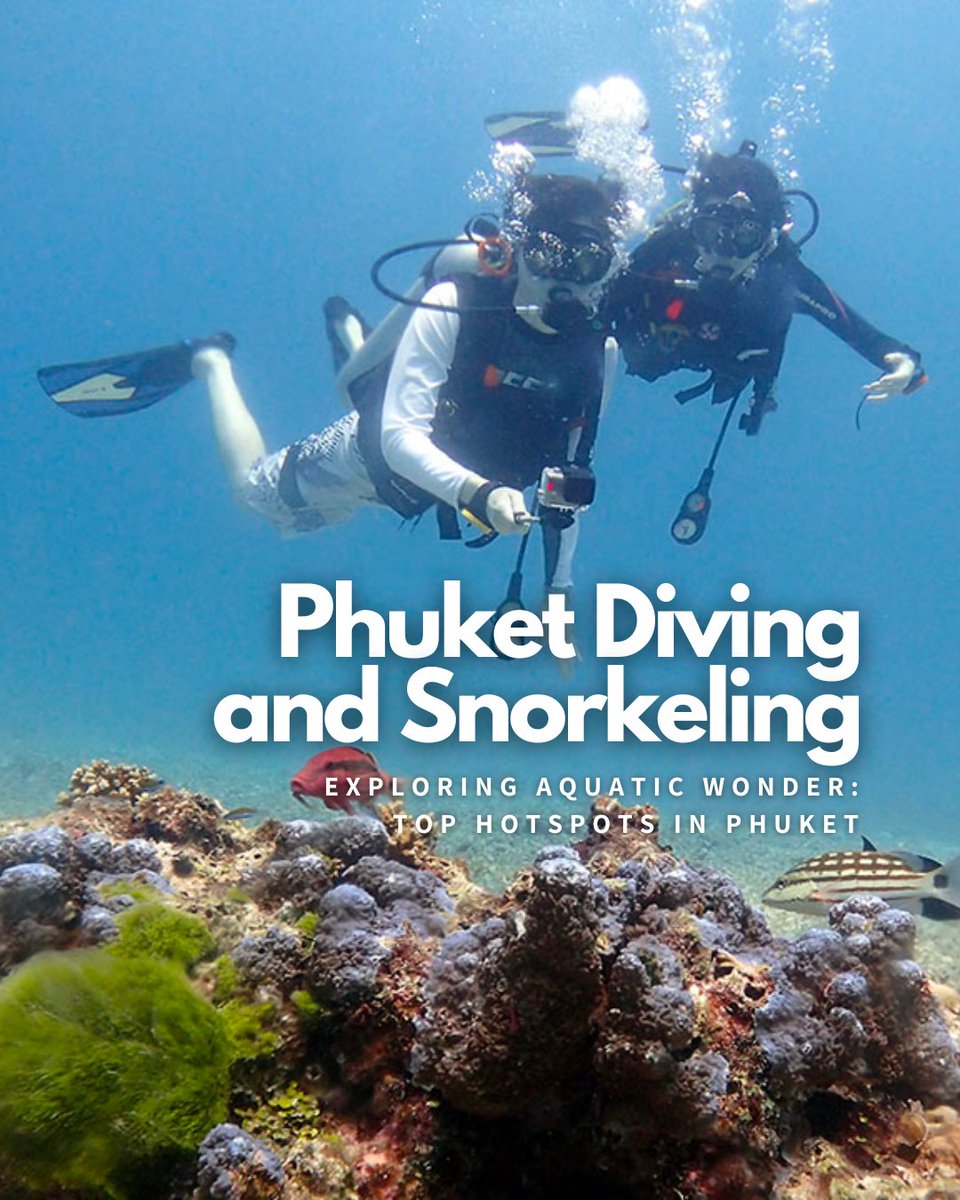 luxephuket's tweet photo. As the largest island in Thailand, best known for its finest tropical beaches, Phuket is such a great escape. 

To get the most out of your time under the waves, we’ve put together the perfect guide to the best time and location for diving and snorkeling.

https://t.co/T85gEuM8cI https://t.co/0SQi7MZc5m