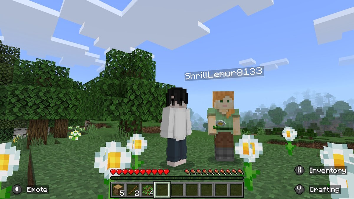 LuckLoose69's tweet photo. #Minecraft #NintendoSwitch https://t.co/5rCaU4Cgu9