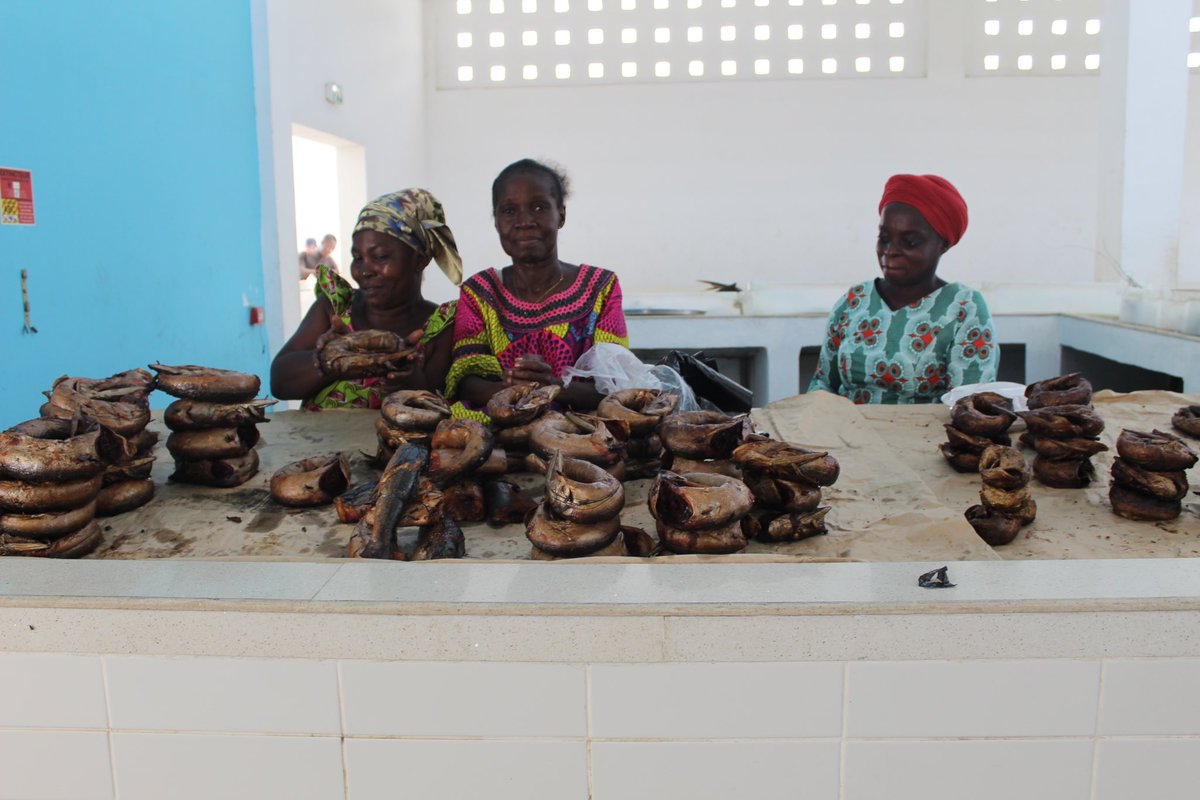 Operadores pesqueros europeos y ONGs unen fuerzas con pescadores artesanales de África para abordar y mejorar el papel de la mujer en la pesca ldac.eu/en/medias/news…