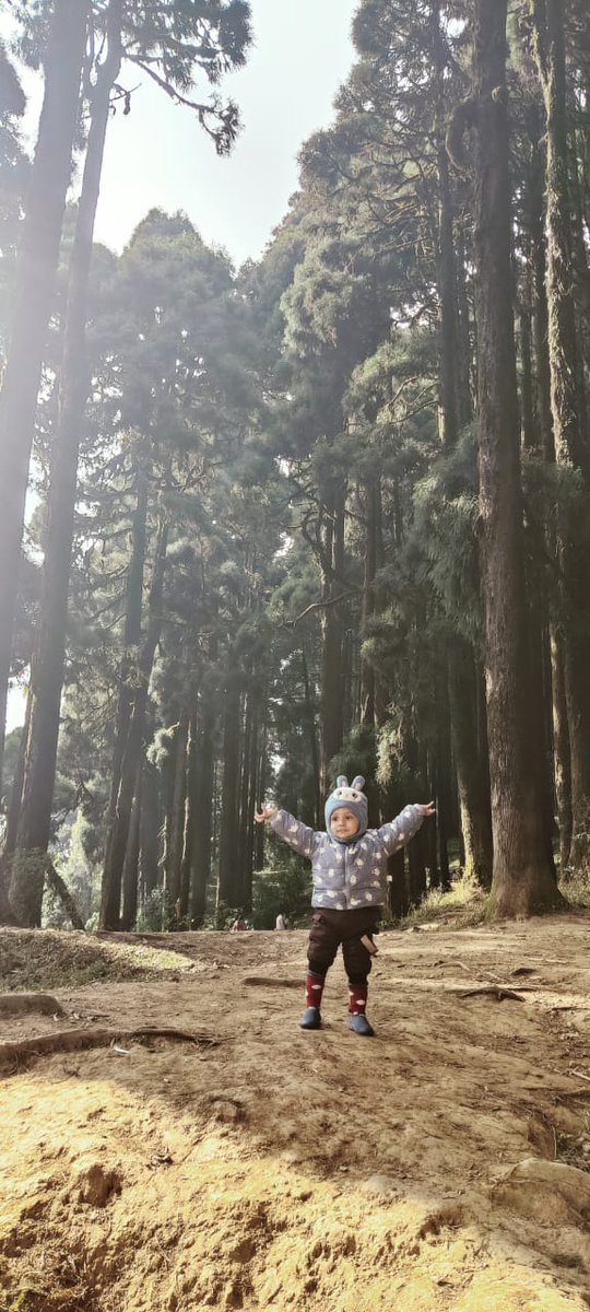 Starting early to learn the iconic SRK pose. <a href="/iamsrk/">Shah Rukh Khan</a> 
#SRK𓃵 #ShahRuhKhan