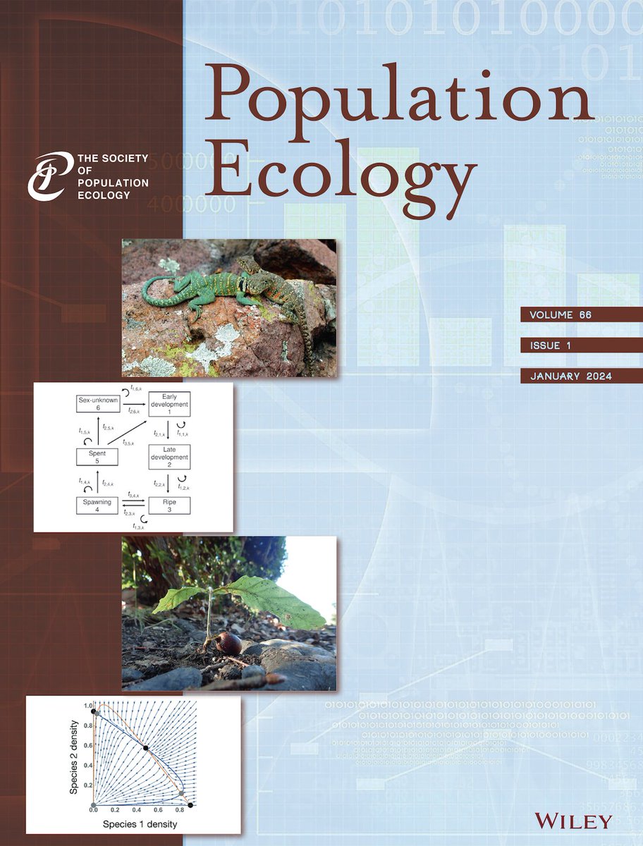 PopulationEcol's tweet photo. 2024’s First issue of Population Ecology (66-1, Jan 2024) is now available online!
☟
https://t.co/n7gbpOmxaS
#populationecology #populationdynamics #populationdistribution #evolutionaryecology #agroecosystem #bioresource #ecology #animalscience #plantscience #ornithology https://t.co/4wnXaopHou