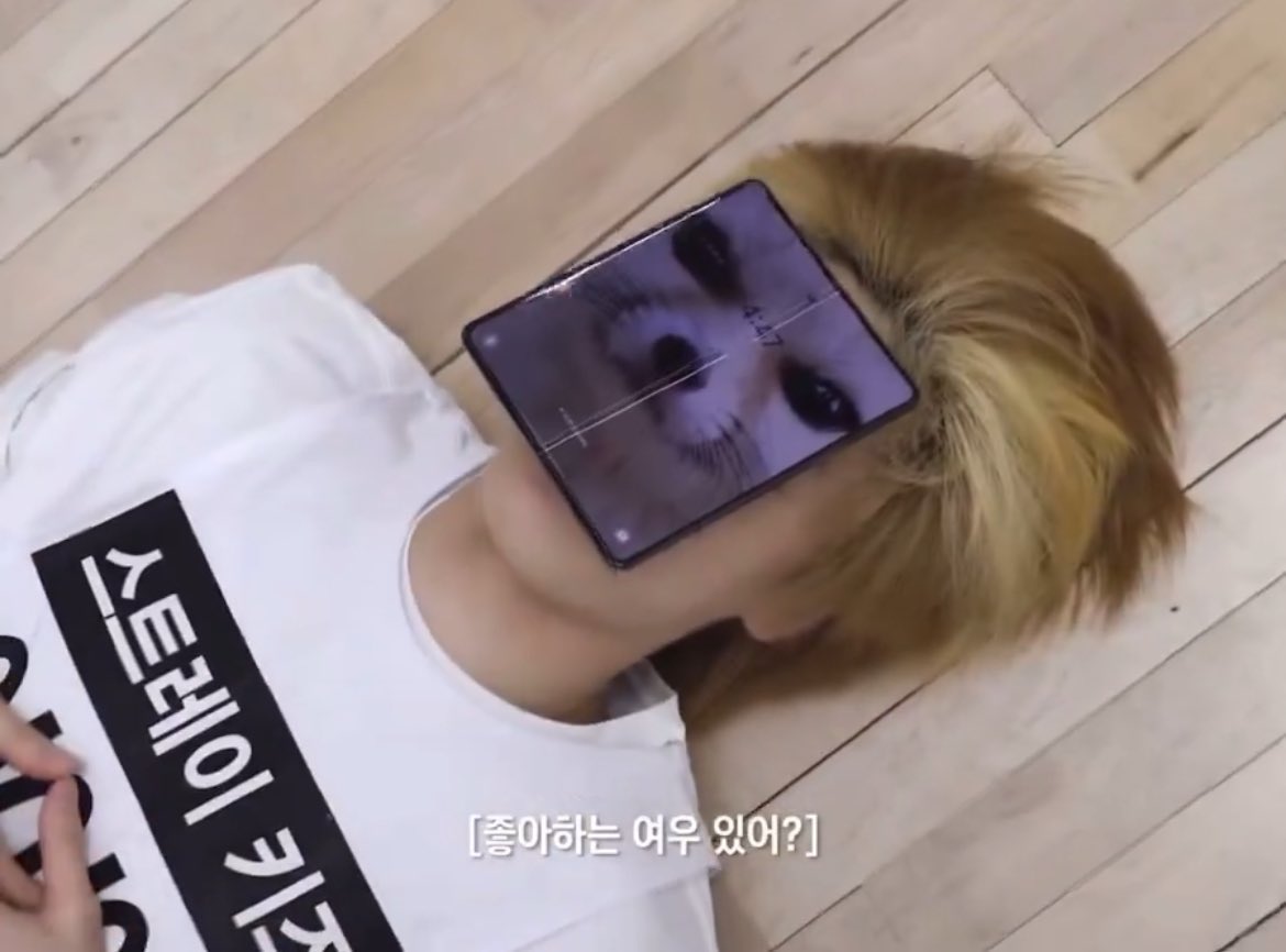 좋아하는 여우 있어?