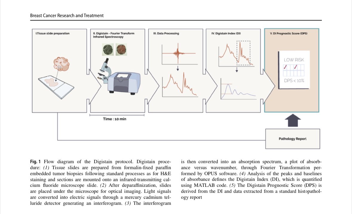 Complexly novel way to assess risk of recurrence in ER+/HER2- early breast cancer using mid-infrared spectrometer @digistain It’s simple,quick & can be done locally. First data using Nottinghan series, shows it can separate patients into low vs high risk. More studies underway.