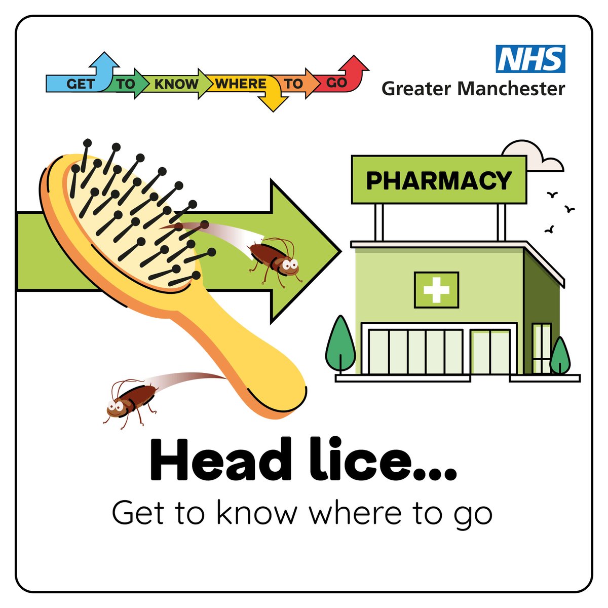 Head lice can be difficult to spot. Anyone can catch them but pre-school children, primary school children and their families are most at risk.
Treat head lice without seeing a GP. A pharmacist can recommend the best treatment.
