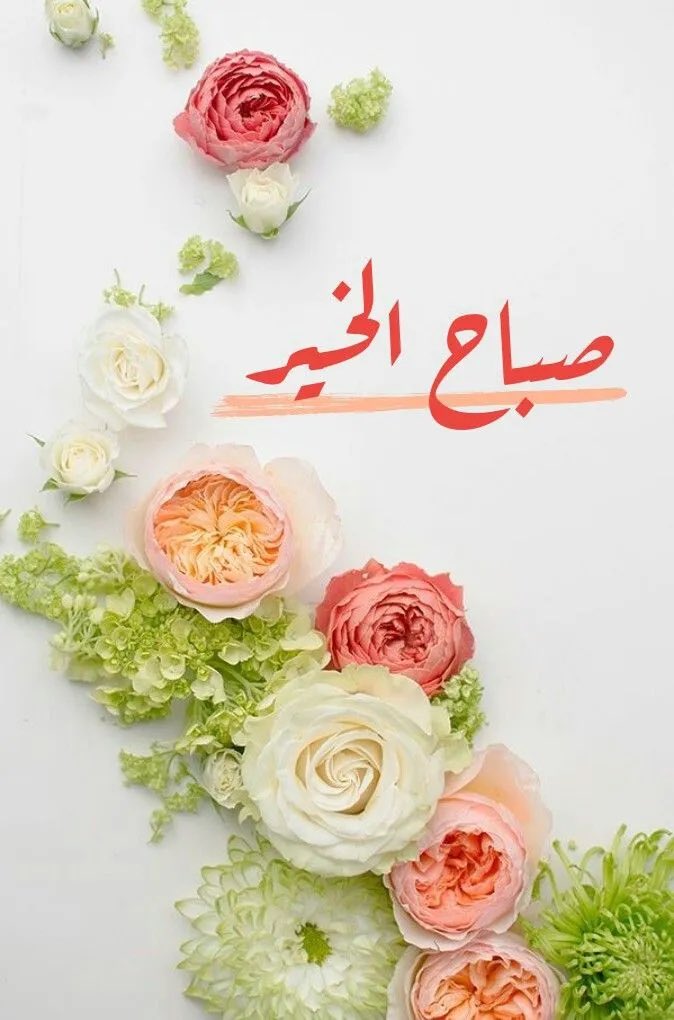 halnuaimi333qa's tweet photo. @maysaloon81 صباح الخير جمعة مباركة https://t.co/iLVEPCZcWD