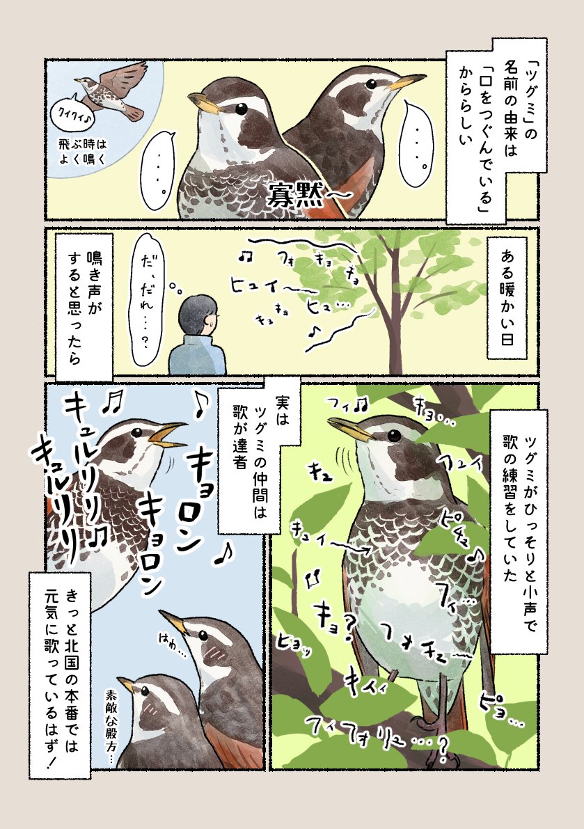 意外と知らない鳥の生活 「ツグミのコソ練」 春が近づくとそんな気分になるのか、小声で呟くように歌い始めます。