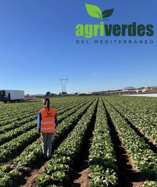 agriverdes's tweet photo. Agriverdes https://t.co/NwZWspWd4L