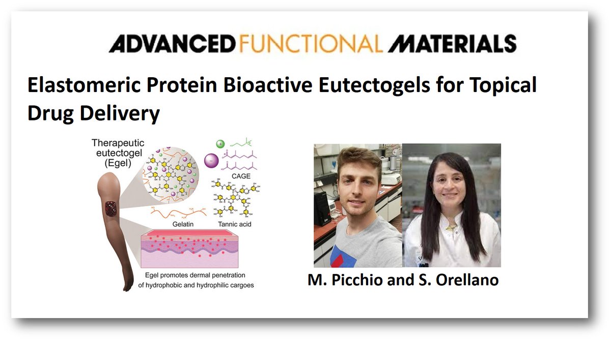 I am happy to share our latest publication @WileyVCH, @AdvSciNews about #eutectogels for dermal delivery. Congratulations to @MatiasPicchio and @soleorellano for leading the work and to all the collaborators! @Ikerbasque @ehu_kimika @POLYMAT_BERC Link: doi.org/10.1002/adfm.2…