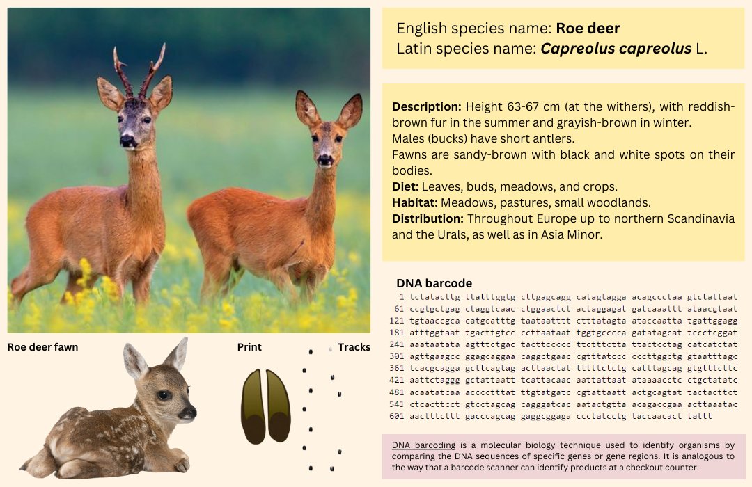 🌲🦌 During your walks through picturesque landscapes and observing our beautiful #wildlife, use the #SRNA #app to record your #observations. 🌼🐇 @StepChangeEU @si_upr